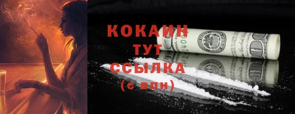 шишки Богданович