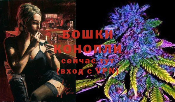 apvp Богородск